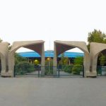 التسجيل في جامعة طهران